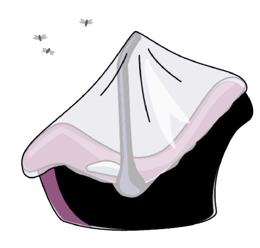 Muggennet QUAX