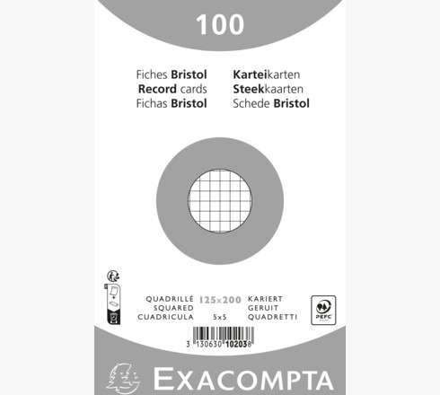 STEEKKAARTEN 12,5 x 20 cm, wit, ruit per 100 in cello, exacompta bristol,205g