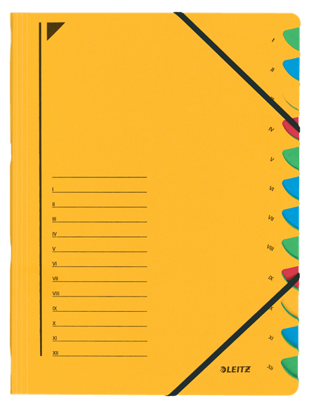 Elastomap LEITZ Voorordner, A4