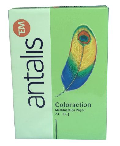 PAPIER Java, grasgroen, A4, 80 gr., 500 vel/pak, geschikt voor copy/laser/ inktjet, COLORACTION