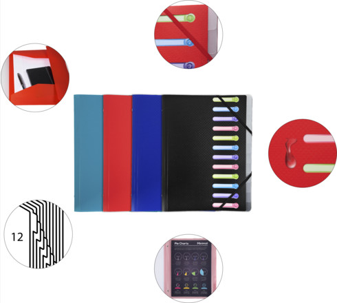 VOORORDNER A4, 12-delig, PP kaft, 4ass. , elastieksluiting, vensters, 24x32cm,  , A4 pochetten met 2de kaft, 3 kleppen