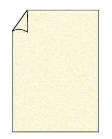 Papier Paperado, standaard