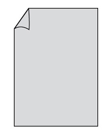 Papier Paperado, standaard