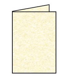 Papier Paperado dubbele kaart, standaard