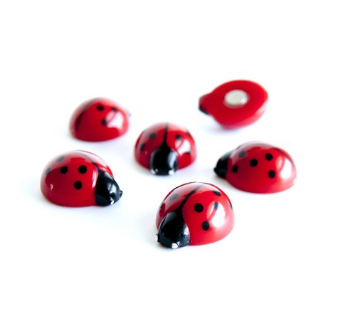 Magneet Trendform Switzerland Lady Bug, lieveheersbeestje