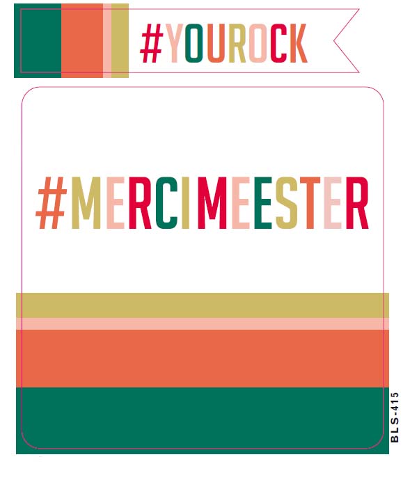 Stickers VANHALST 2 GIVE & ENJOY, Meester | Personal Touch