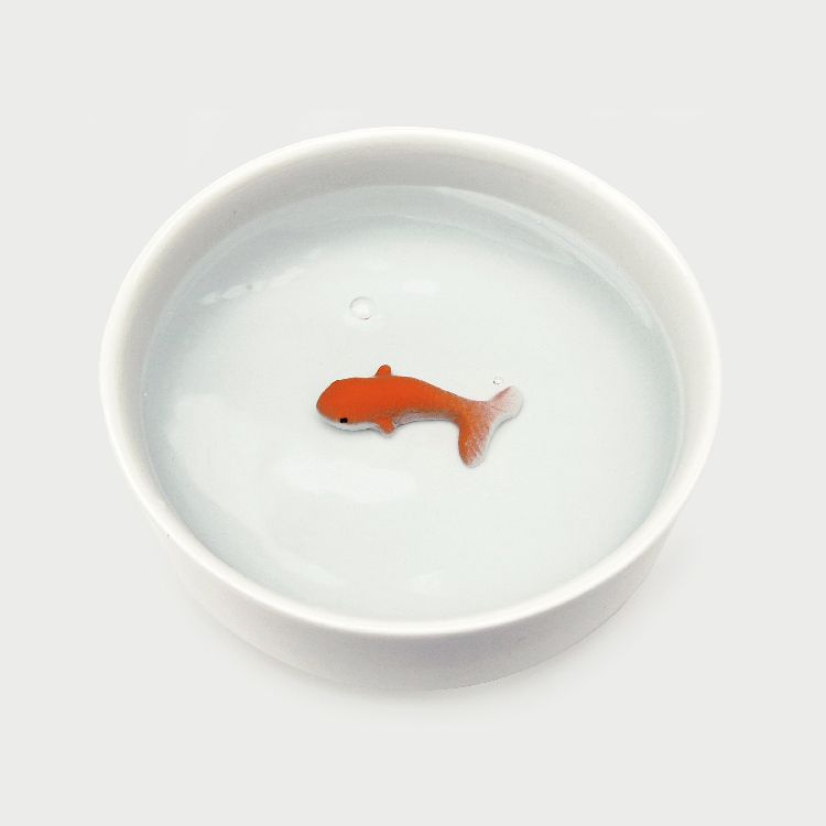 Voeder/drinkbakje suckuk Fish Pet Bowl