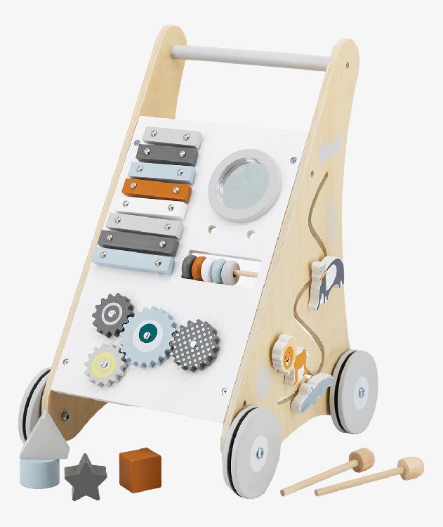 Loophulp Tryco Activity Walker