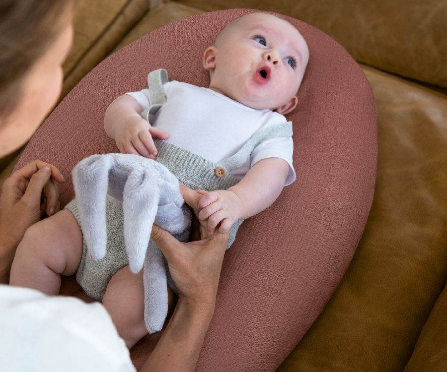 Positioneringskussenhoes Doomoo Cover, geschikt voor Doomoo Comfy Big | Tetra brick