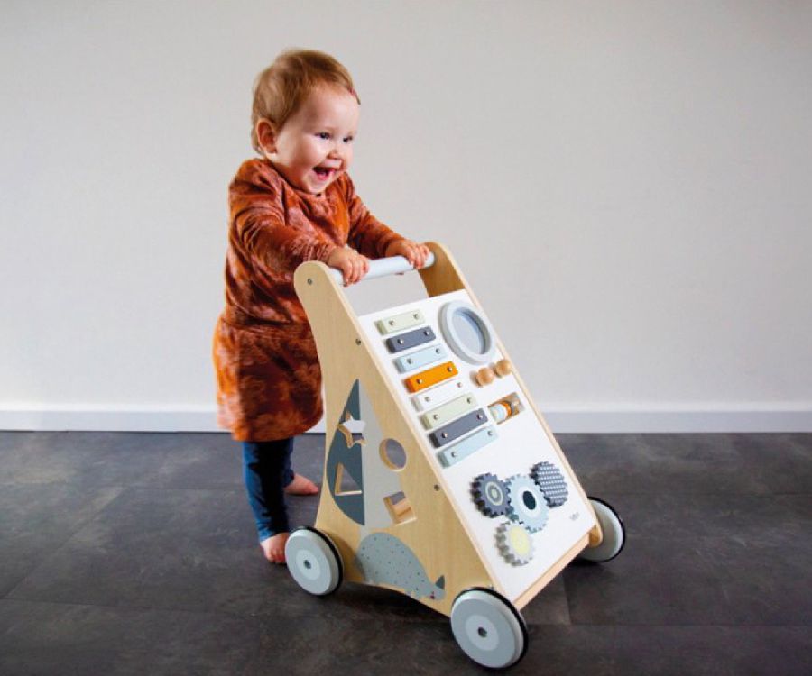 Loophulp Tryco Activity Walker