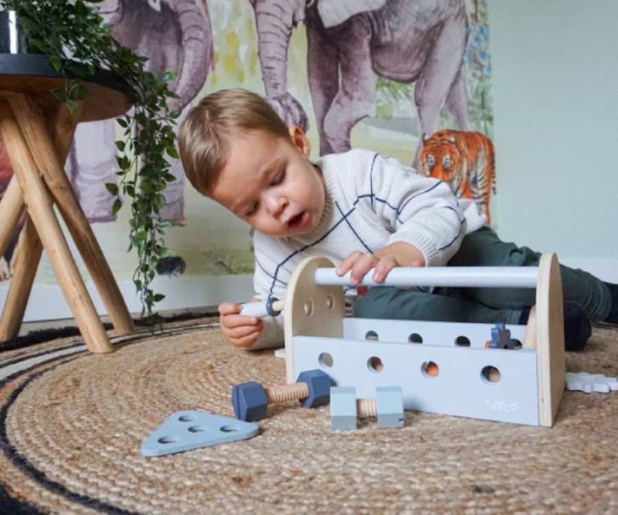 Gereedschapskist & werkbank Tryco Gereedschapskist