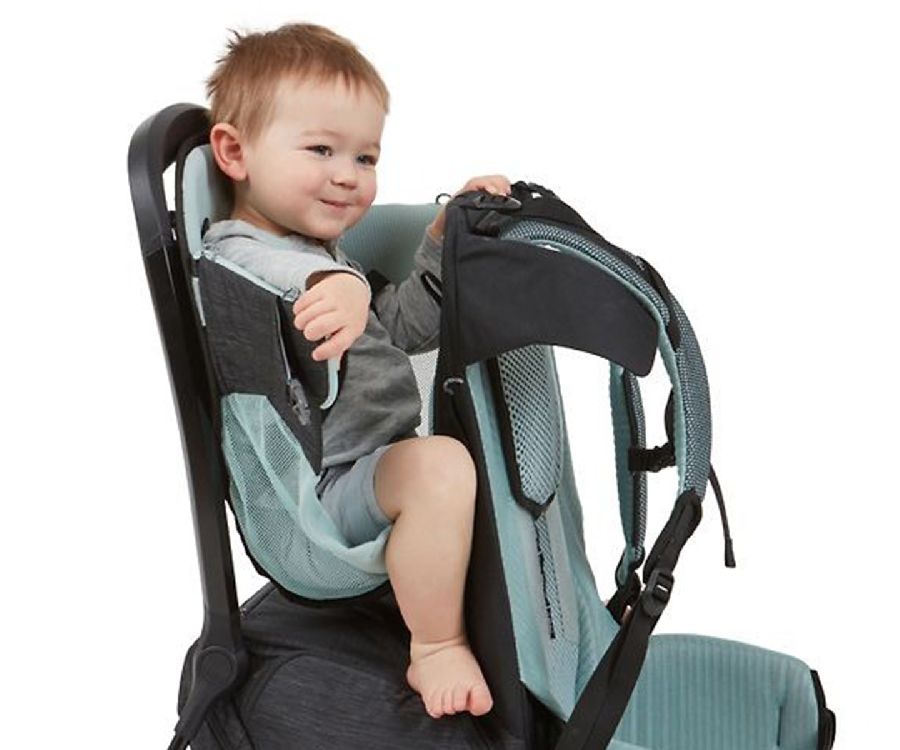 Rugdraagzak Sapling grijs/groen, black 