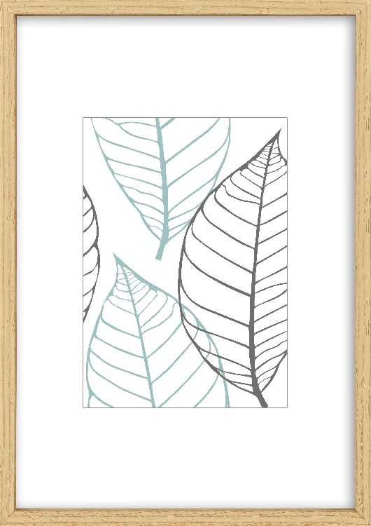 Fotokader Intertrading Brasil