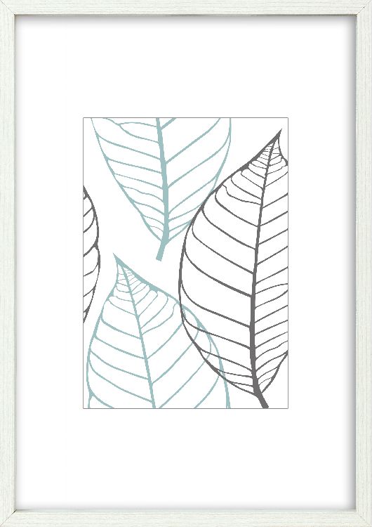 Fotokader Intertrading Brasil