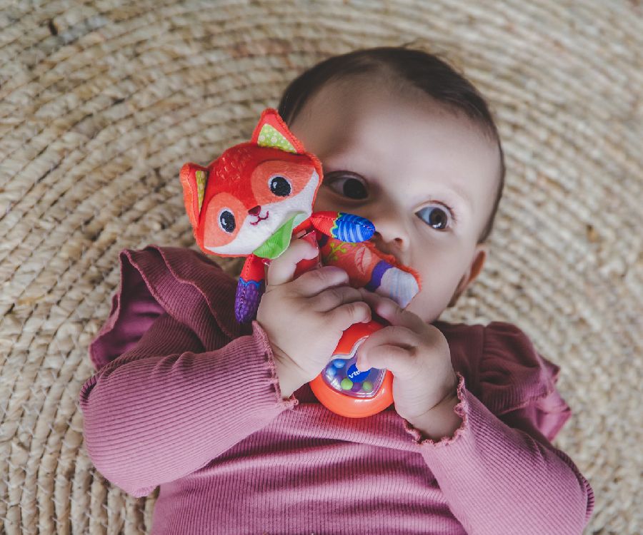 Rammelaar Vtech Vos | Dierenvriendjes