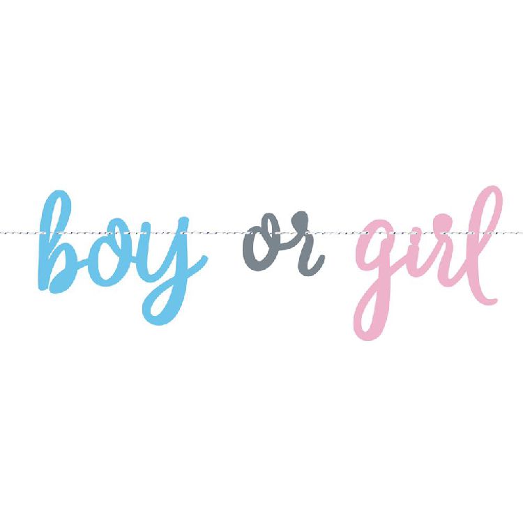Guirlande Jep-Party Letterslinger Gender Reveal