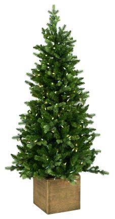 Kerstboom A Perfect Christmas, Norfolk, H 137 cm