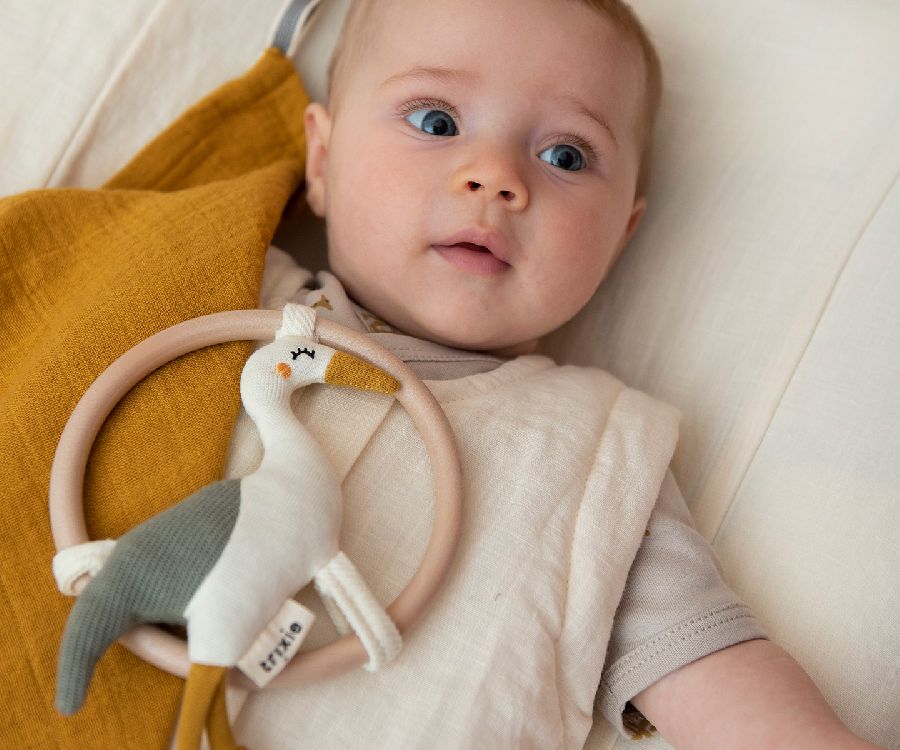 Rammelaar Trixie Rattle | Heron