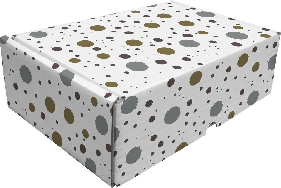 Doos Raadhuis Cadeaupakketdoos 3