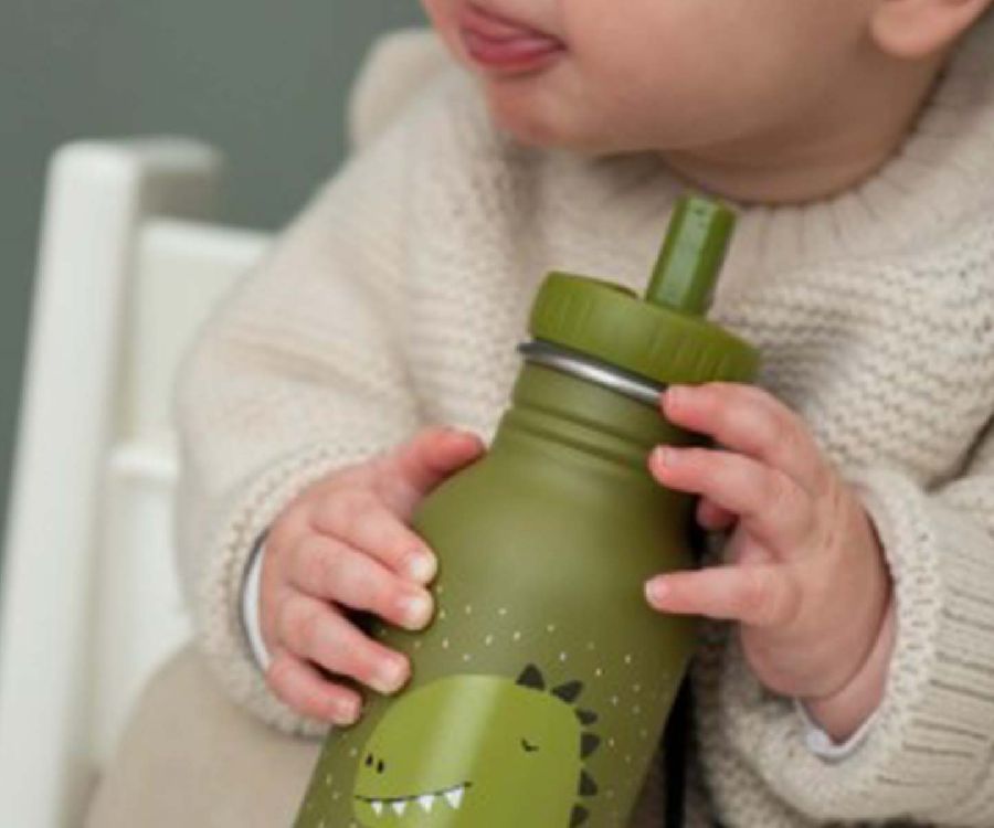 Drinkfles Trixie Water drinking bottle | Mr. Dino School
