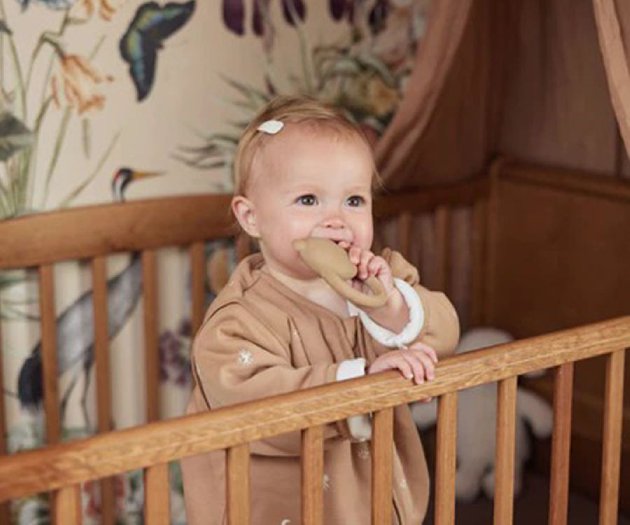 Bijtring Jollein Bijtring Jollein Teddy Bear | Teddy Bear biscuit