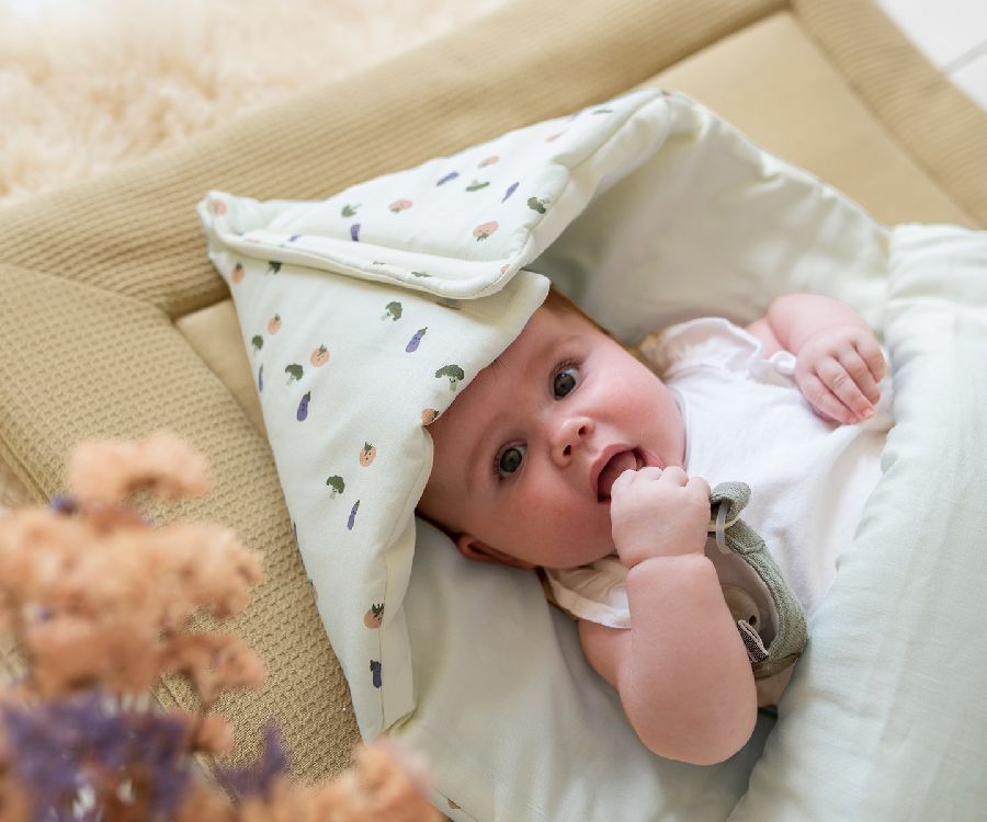 Voetenzak Trixie, geschikt voor autostoel groep 0+ | Friendly Vegetables auto