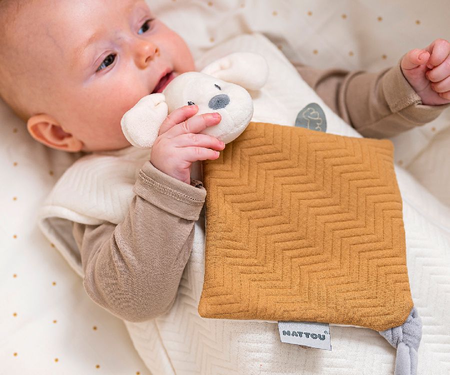 Knuffeldoek/fopspeendoekje Nattou, Mini Doudou Dog Jacquard | Charlie