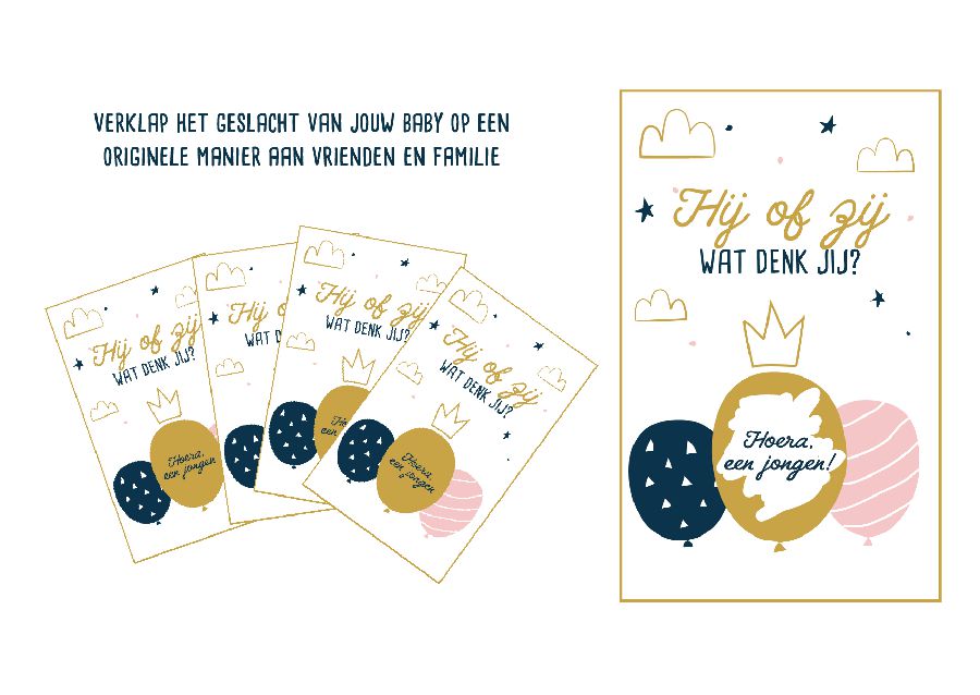 Babyvoorspellingen MINIMOU Verklap het geslacht | GenderRevealFeestje26