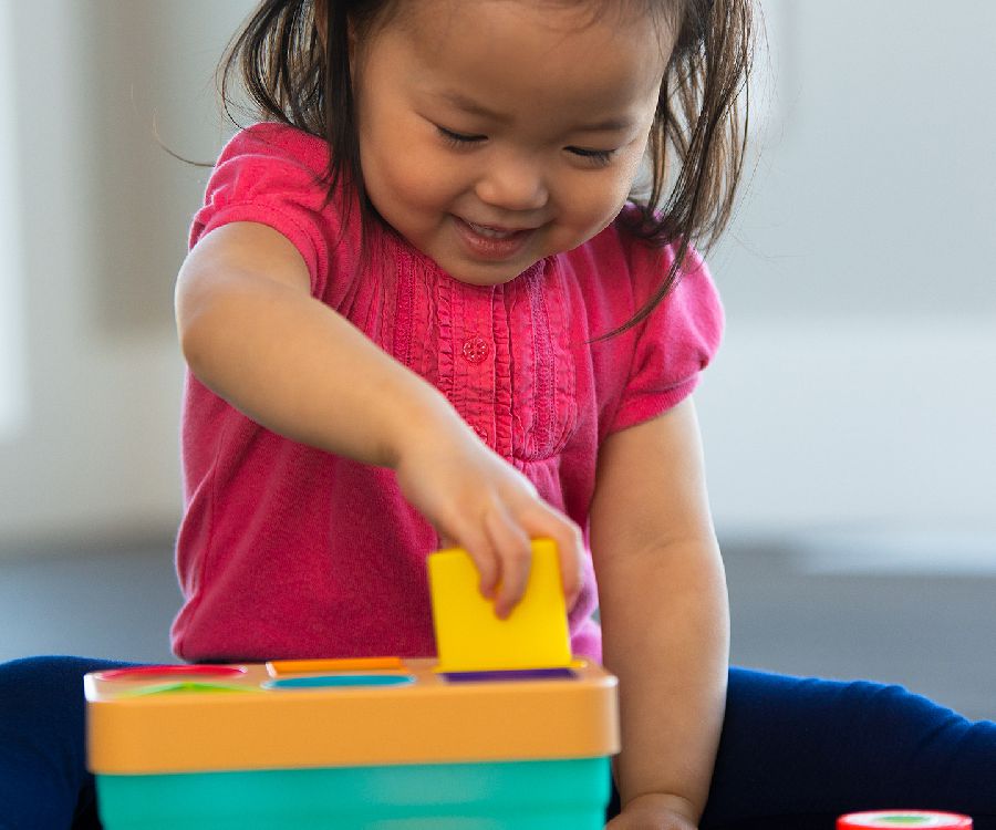 Vormenstoof Sassy Sushi sorter