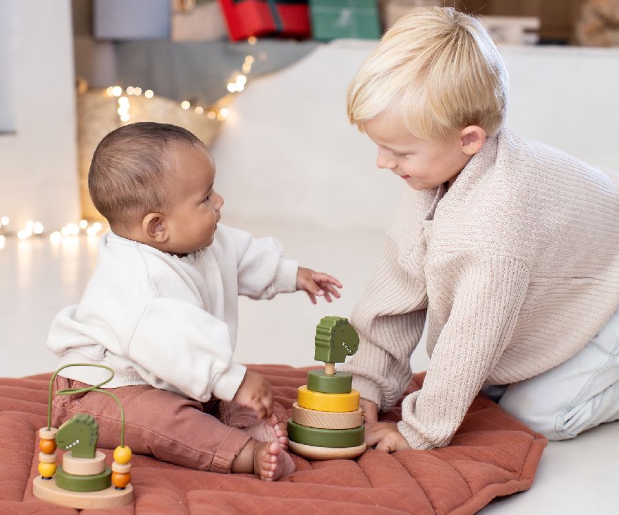 Stapelspeelgoed Trixie Stacking toy | stapelringen