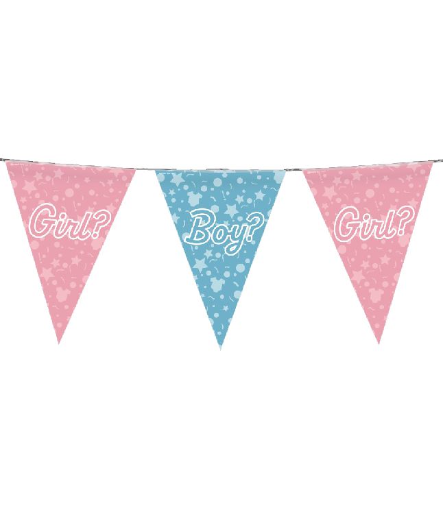 Feestartikelen PD Party Party Flags Foil, vlaggenlijn | Gender Reveal