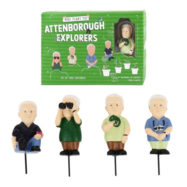 Beeld Gift Republic, Mini Plant Pot Attenborough Explorers, David Attenborough