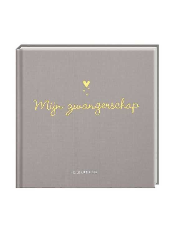 Invulboek IMAGE BOOKS Mijn Zwangerschap | herinneringsboek