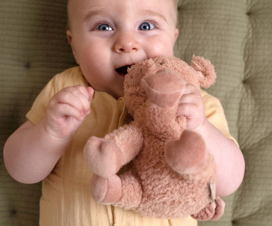 Knuffel Little Dutch, Knuffel varken | Little Farm