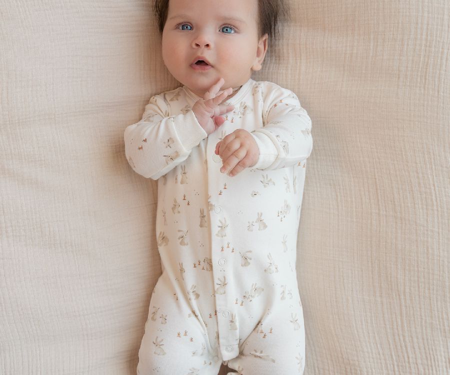 Kruippak Little Dutch