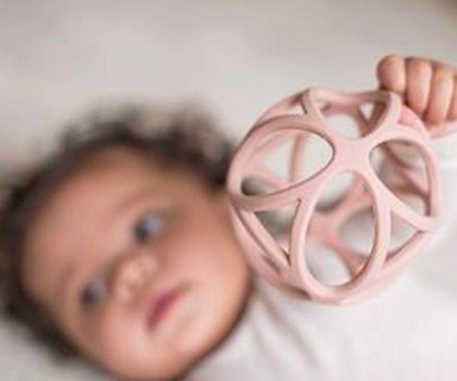 Activiteitenbal Little Dutch Grappling Ball