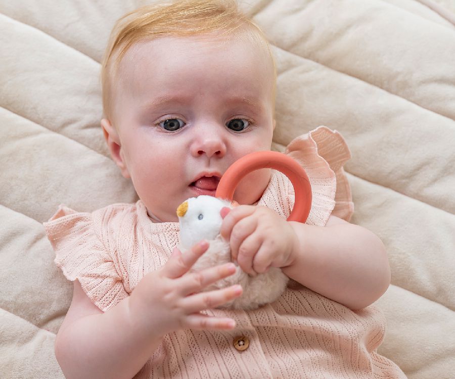Bijtring Nattou Rattle Zoë the hedgehog | Mila, Lana & Zoë