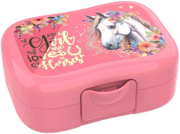 Snackdoos Danneels, 1 stuk(s) | Lunch Buddies