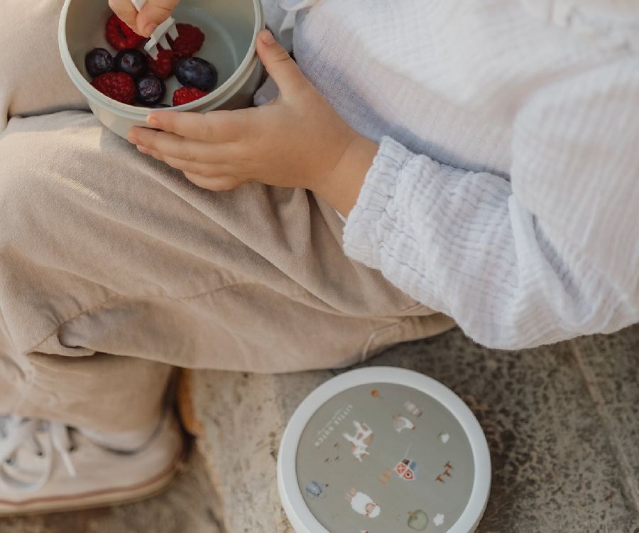 Snackdoos Little Dutch Fruitbox Campus, 1 stuk(s) | Little Farm