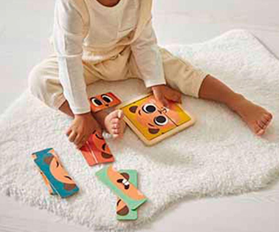 Ontwikkelingsbox Janod Developing their reasoning skills | Janod Box