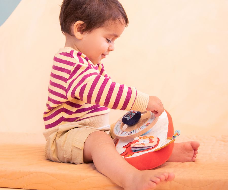 Stuurtje Lilliputiens Boerderij auto activiteitenpaneel | Farm