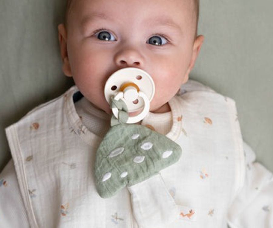 Slaapzak Little Dutch, 3/6 maanden, 0.6 TOG | Forest Friends