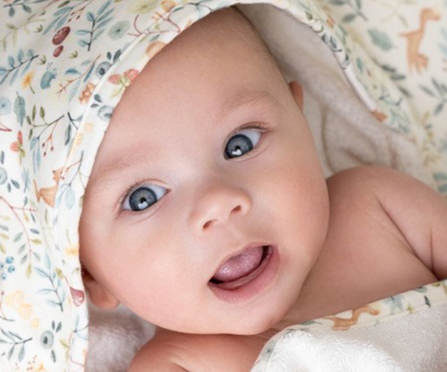 Badcape Little Dutch | Forest Friends