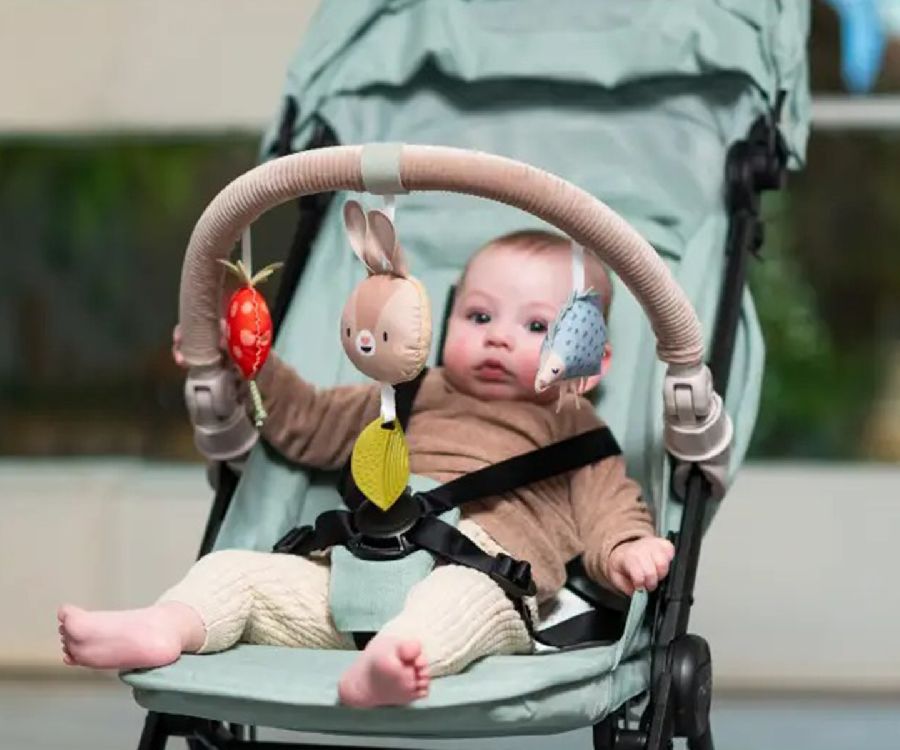 Speelboog met speeltje Taf Toys Musical bunny arch