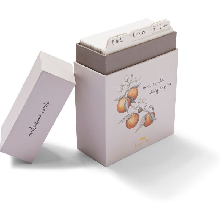 Prentenboek & -kaarten Konges Slojd Milestones | mijlpaalkaarten