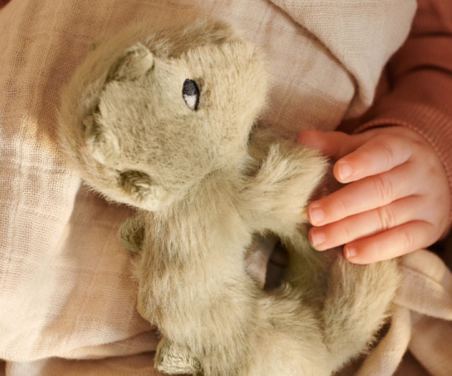 Rammelaar Liewood Romain | Crocodile