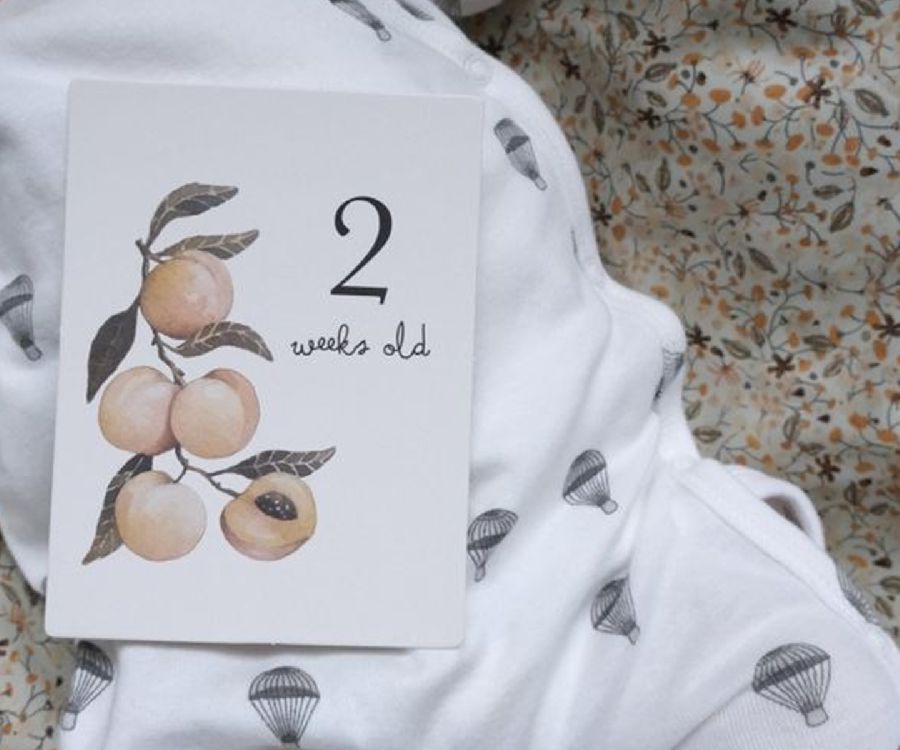 Prentenboek & -kaarten Konges Slojd Milestones | mijlpaalkaarten