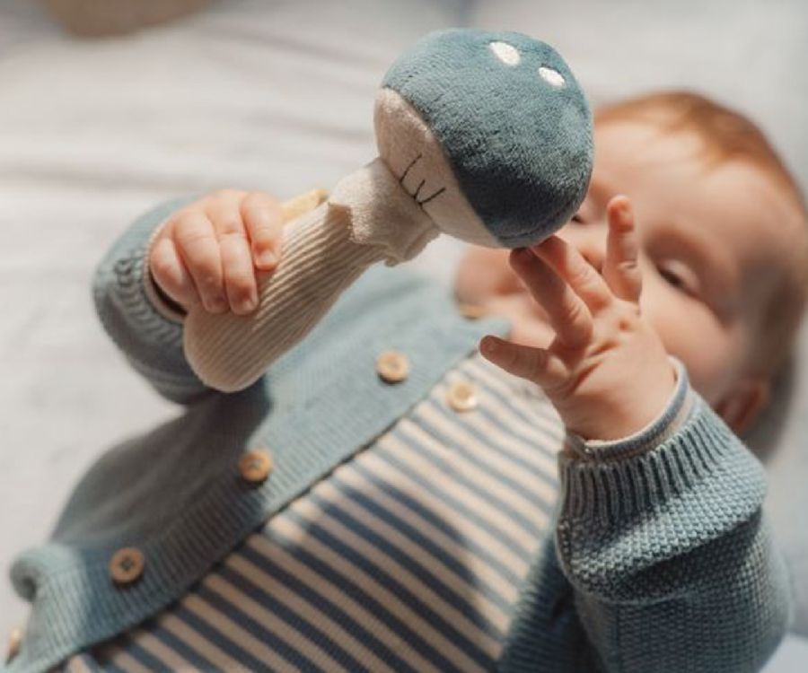 Rammelaar Little Dutch | Forest Friends