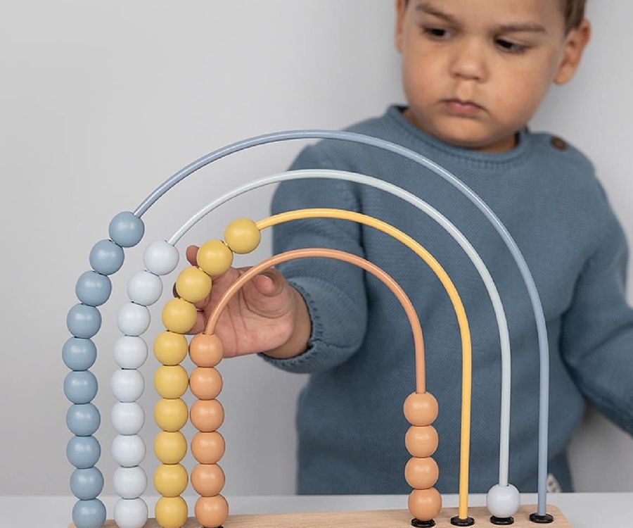 Telraam Little Dutch Telraam