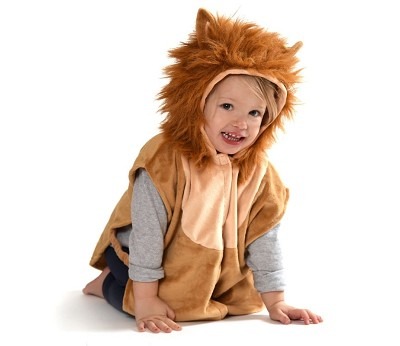 Mini Cape Animals Den Goda Fen, Lion